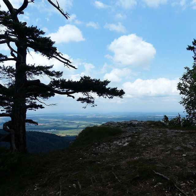 Dağcı portresi